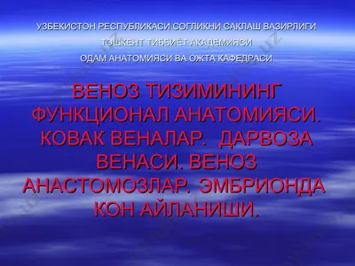 venoz tizimining funktsional anatomiysi — PPT