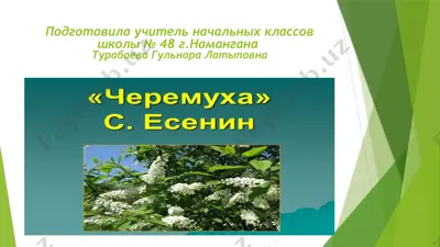 проверка домашнего задания — PPTX