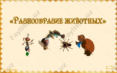 zoologiya: hayvonlar haqida ma'lumotlar — PPTX