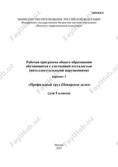 rabochaya programma obshchego obrazovaniya obuchayushchikhsya s umstvennoy ostslost'yu (intellektual'nymi narusheniyami) variant 1 "profil'nyy trud (povarskoe delo)" dlya 5 klassa — DOCX