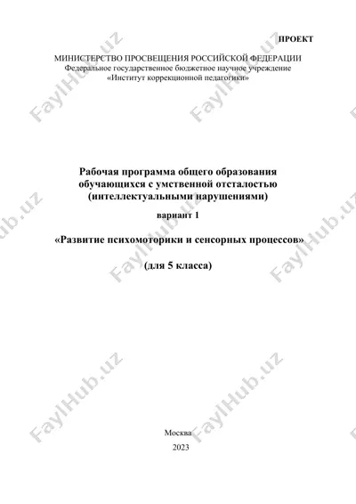 rabochaya programma obshchego obrazovaniya dlya obuchayushchikhsya s umstvennoy otsalost'yu (intellektual'nymi narusheniyami) variant 1 "razvitie psikhomotoriki i sensornykh protsessov" (dlya 5 klassa) — DOCX