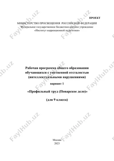 rabochaya programma obshchego obrazovaniya obuchayushchikhsya s umstvennoy otsalost'yu (intellectual'nymi narusheniyami) v variant 1 "profil'nyy trud (povarskoe delo)" (dlya 9 klassa) — DOCX