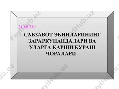 sabzavot ekinlarining zararkunandalar va ularga qarshi kurash choralari — PPT