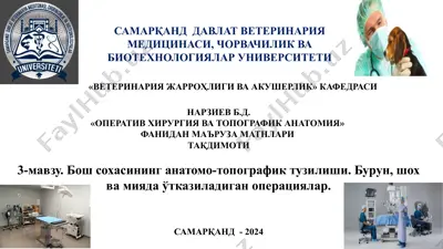 оператив хирургия ва топографик анатомия фанидан маъруза матнлари — PPTX