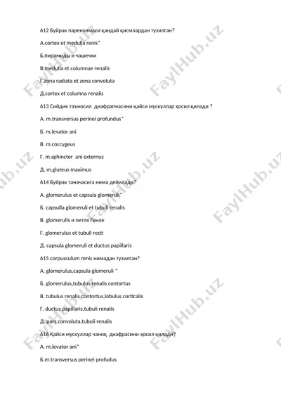bujrak parenximasi — DOCX
