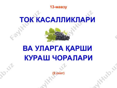 ток касалликлари ва уларга қарши кураш чоралари — PPT