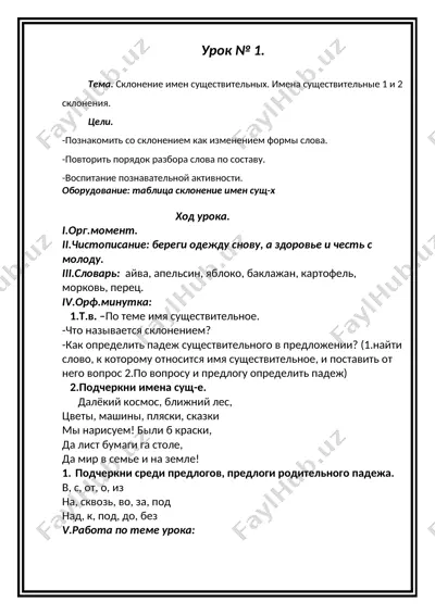 sklonenie imen sushchestvitelnykh. imena sushchestvitelnye 1 i 2 skloneniya. — DOCX