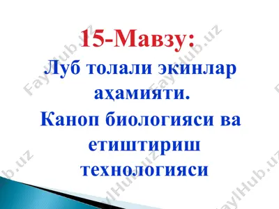 луб толали экинлар аҳамияти. каноп биологияси ва етиштириш технологияси — PPT