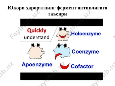 haroratning ferment aktivligiga ta'siri — PDF