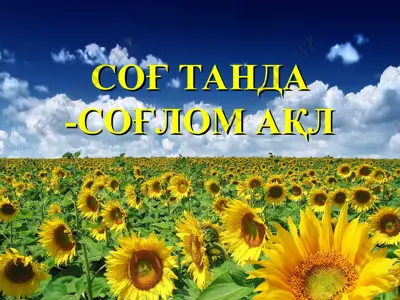 cоғ танда -соғлом ақл — PPT