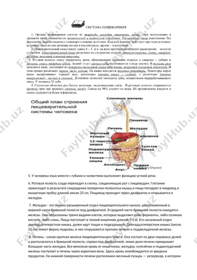 ustnij rech — DOCX