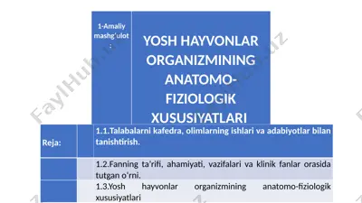 veterinariya diagnostikasi va rentgenologiyasi — PPTX