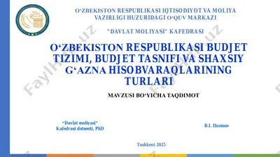 o'zbekiston respublikasi budjet tizimi, budjet tasnifi va shaxsiy gʻazna hisobvaraqlarining turlari — PDF