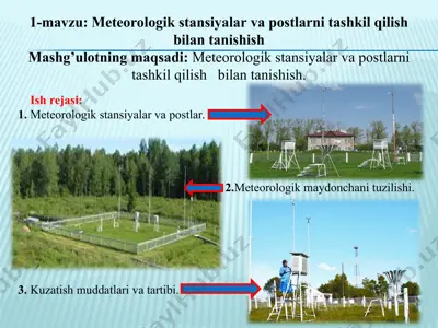 meteorologik stansiyalar va postlar — PPT