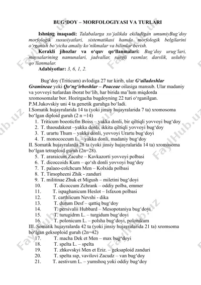 bug‘doy – morfologiyasi va turlari — DOCX