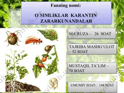 o`simliklar karantin zararkunandalar — PPT