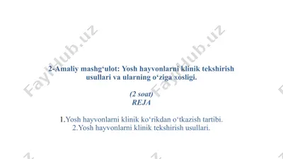 amaliy mashg‘ulot: yosh hayvonlarni klinik tekshirish usullari va ularning o‘ziga xosligi — PPTX