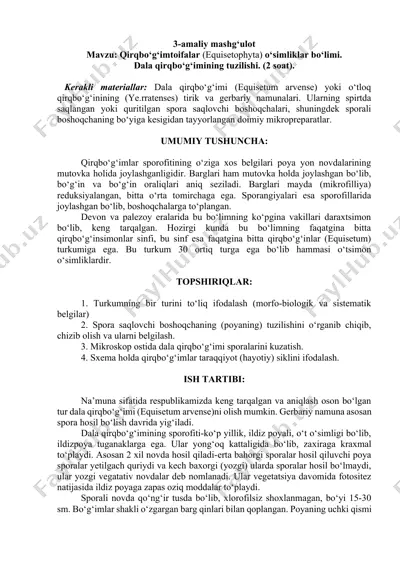 qirqbo‘g‘imtoifalar (equisetophyta) o‘simliklar bo‘limi. — DOCX