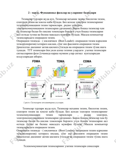 функционал фазолар ва уларнинг базислари — DOCX