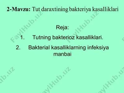 tutning bakterioz kasalliklari — PPT