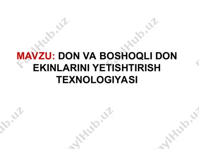 don va boshoqli don ekinlarini yetishtirish texnologiyasi — PPT