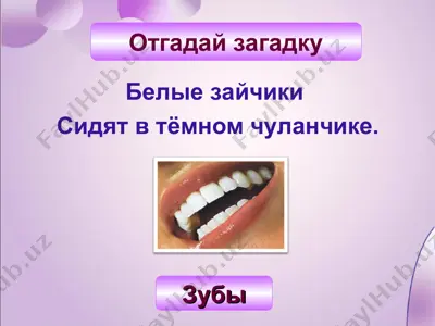 белые зайчики — PPT