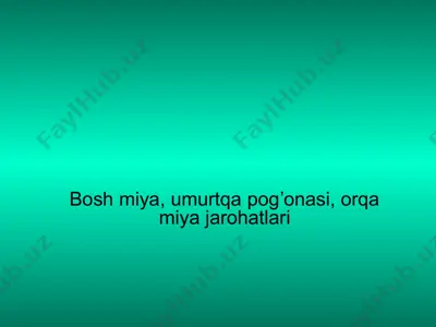 miya jarohatlari haqida ma'lumotlar — PPTX