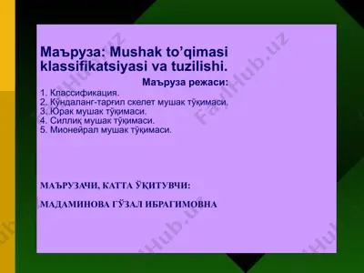 mushak to’qimasi klassifikatsiyasi va tuzilishi — PPTX