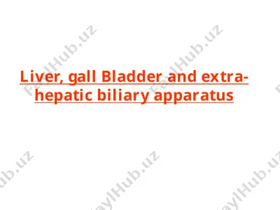 liver, gall bladder, and extra-hepatic biliary apparatus — PPTX