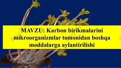 karbon birikmalarini mikroorganizmlar tomonidan boshqa moddalarga aylantirilishi — PPTX