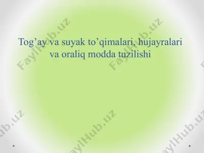 tog'ay va suyak to’qimalari, hujayralari va oraliq modda tuzilishi — PPTX