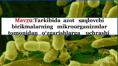 azot o'zgarishlari — PPTX