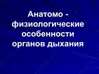 анатомо - физиологические особенности органов дыхания — PPTX