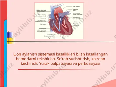 qon aylanish sistemasi kasalliklari bilan bog'liq bemorlarni tekshirish — PPTX