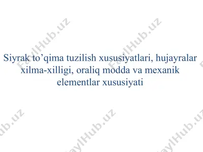siyrak to'qima tuzilish xususiyatlari — PPTX