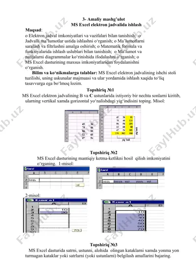 amaliy mashg’ulot ms excel elektron jadvalida ishlash — DOCX