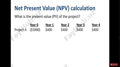 npv & irr — PPTX