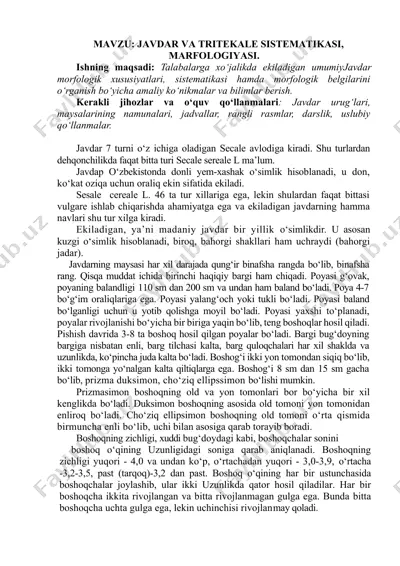 javdar va tritekale sistematiği, morfoloğiyası — DOCX