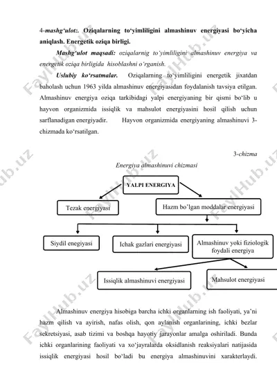 oziqalarning to‘yimliligini almashinuv energiyasi bo‘yicha aniqlash — DOCX