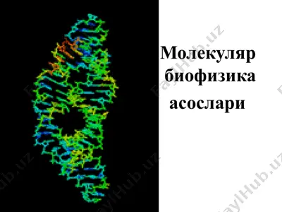 molekulyar biofizika asoslari — PPTX