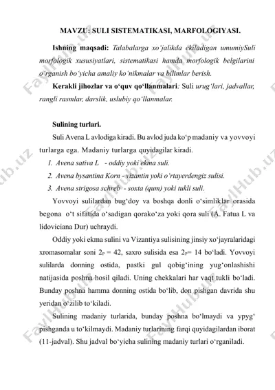 suli sistematiqasi va marfologiyasi — DOCX