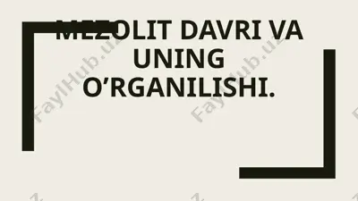 mezolit davri va uning o’rganilishi — PPTX
