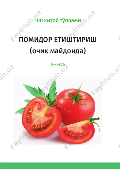 pomidor etishtirish (ochiq maydonda) — PDF