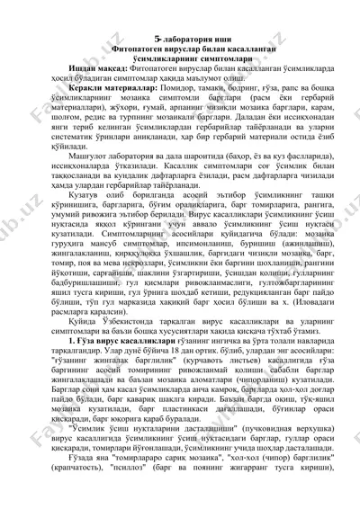 fitopatogen viruslar bilan kasallangan o'simliklarning simptomlari — PDF