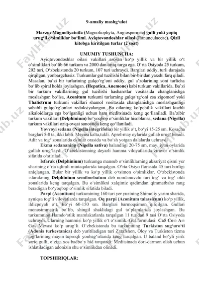 magnoliyatoifa (magnoliophyta, angiospermae) gulli yoki yopiq urug‘li o‘simliklar — DOCX