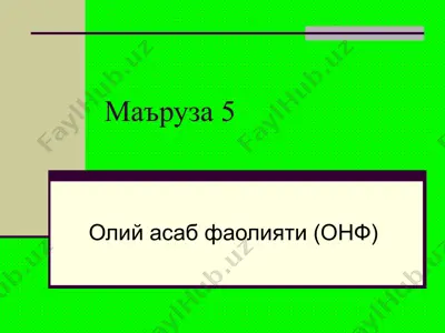 oliy asab faoliyati (onf) — PPT