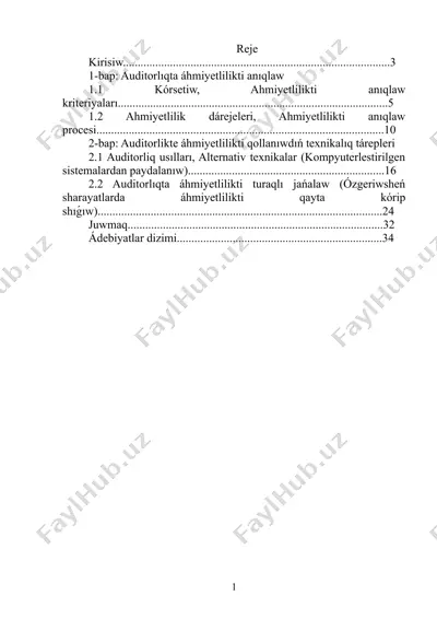 auditorlikta áhmiyetlilikti aniqlaw (kurs jumisi) — DOCX