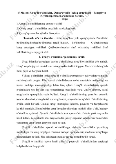 urug‘li o‘simliklar. qarag‘aytoifa (ochiq urug‘lilar) – rinophyta (gymnospermae) o‘simliklar bo‘limi — DOCX