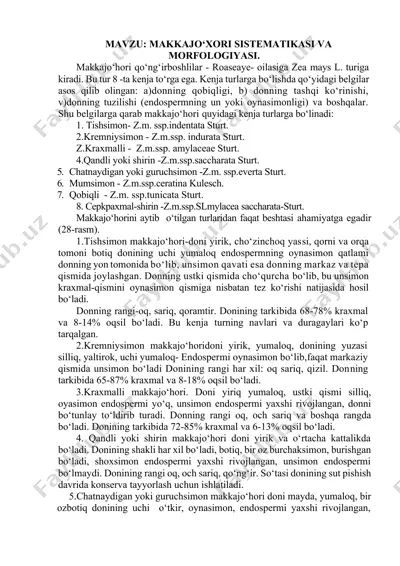 makkajo‘hori sistematikasi va morfolgiyasi — DOCX