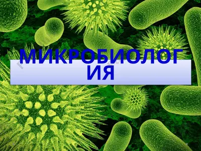 mikrobiologiya — PPTX